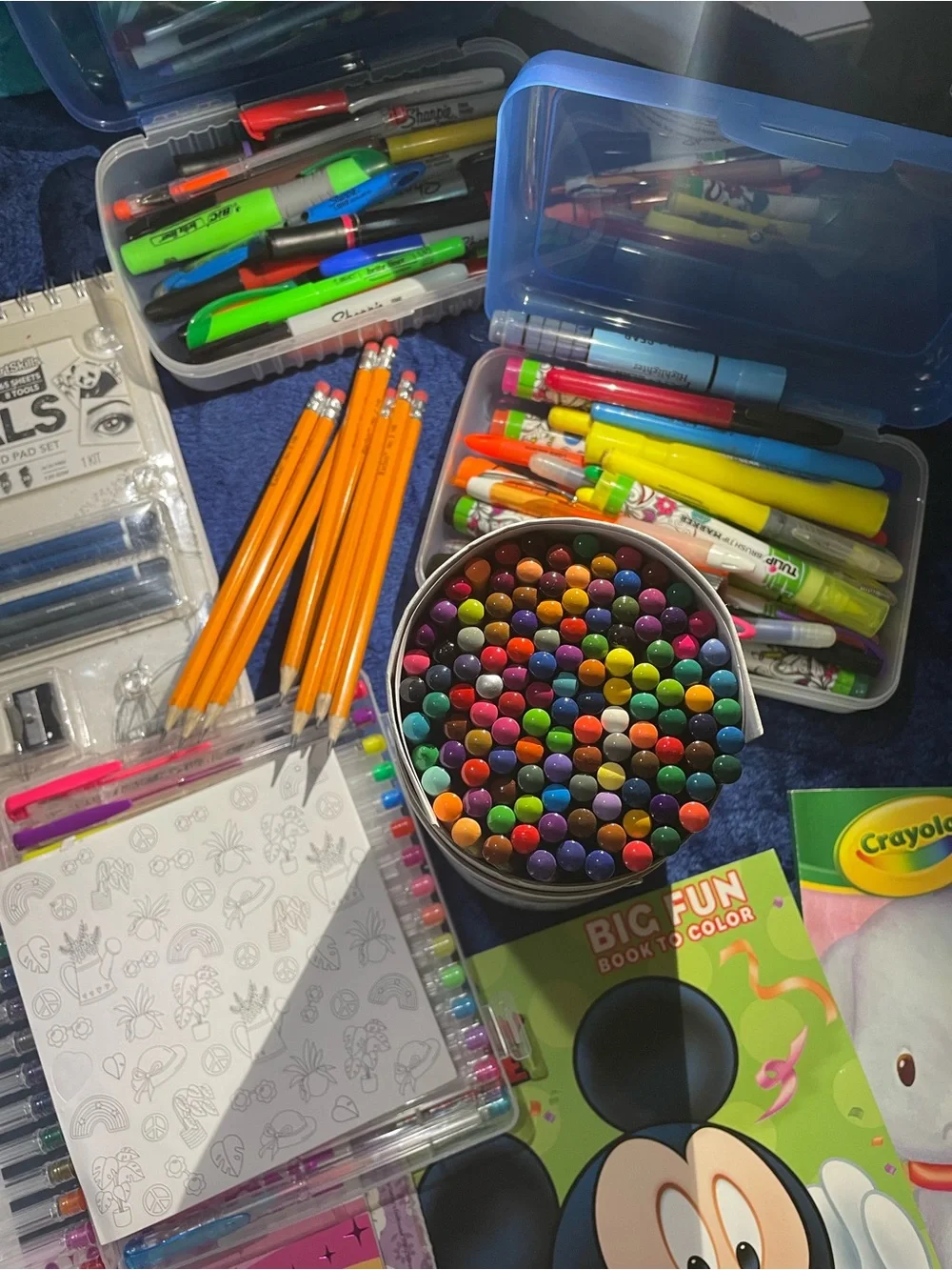 Crayola assorted kids